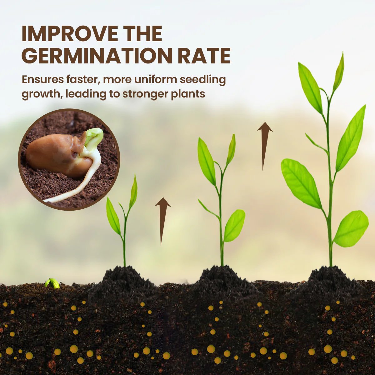 Soil Activator (Buy 1 Get 1 FREE)