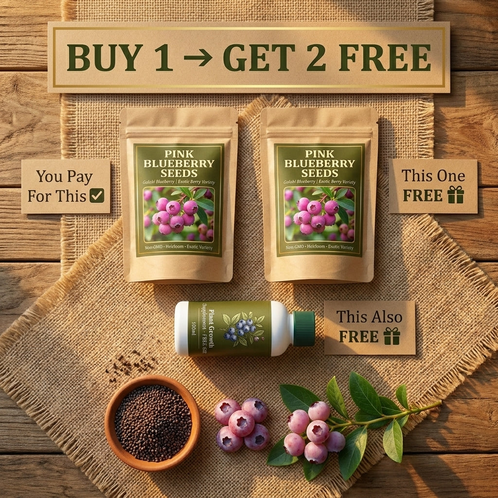 Exotic Pink Blueberry Kit— 2 Packets + Supplement FREE