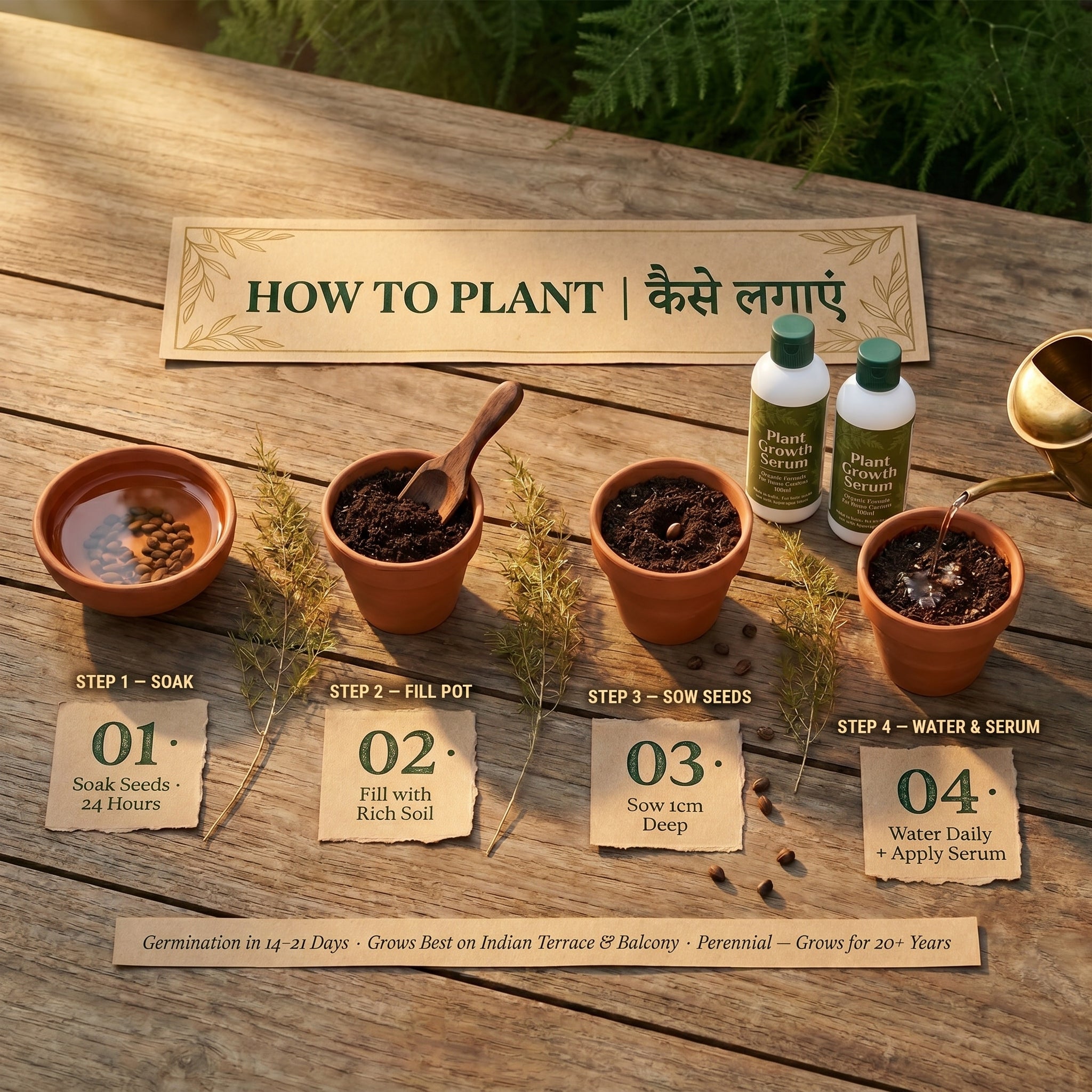 Asparagus Garden Kit — 2 Seed Packets + 2 Serums FREE