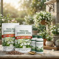 Trailing Jasmine Seeds – Buy 1 Get 1 Free | 2 Plant Growth Serums Included