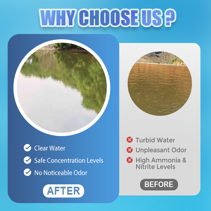 AquaClean™ Water Clarifying Powder